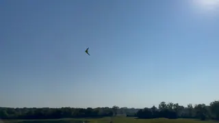 White flying wing crossing a clear sky above farm fields, then banking near a pond